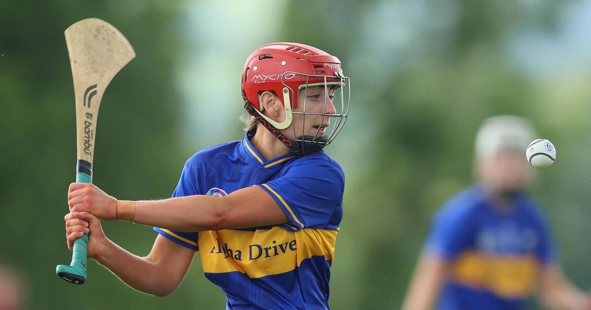 Karin Blair project pays dividends for Tipperary