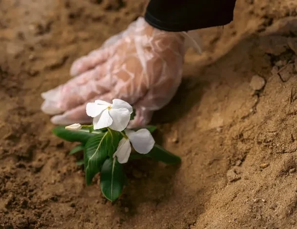 100 Volunteers Help Prepare Muzdalifah Site for Hajj 1446