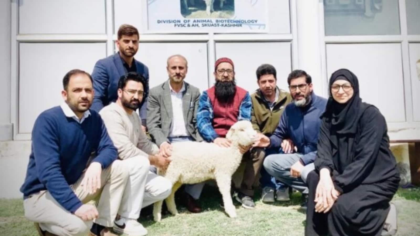 India's first gene-edited sheep developed by Kashmir university researchers. All you need to know