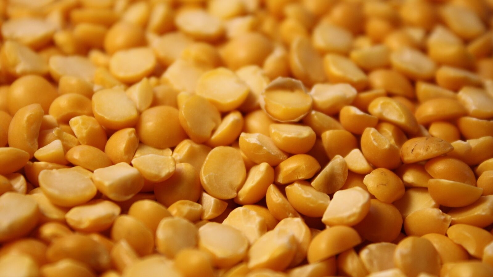 Govt extends duty-free import window for yellow peas till March 2026