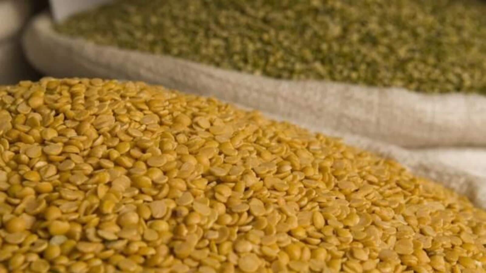 MSP boost: Moong, groundnut procurement approved under price support scheme