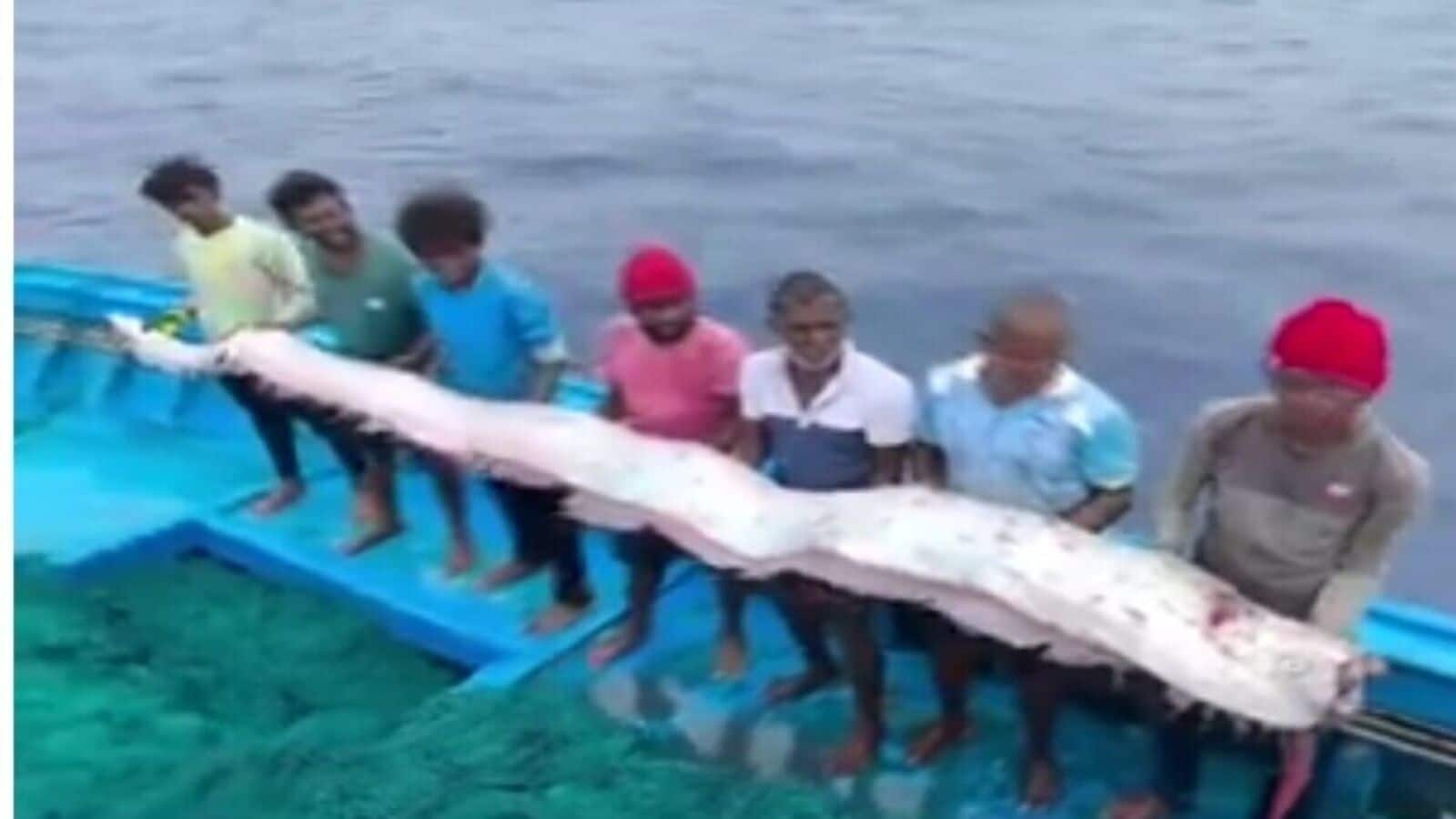 ‘Doomsday fish' sightings surge globally: Harbinger of disaster or deep-sea mystery?