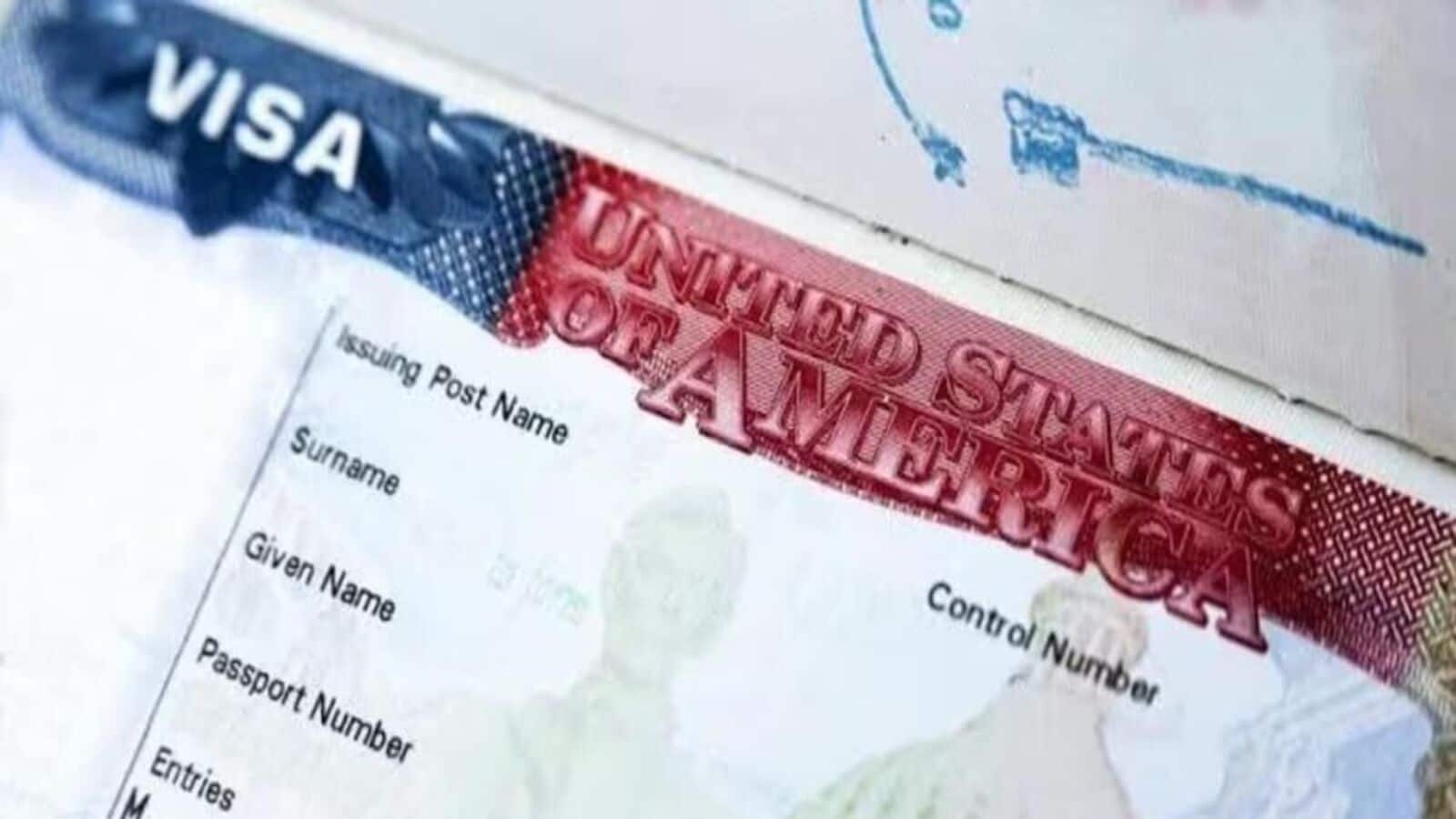 US visa: Indians seeking F, M, J non-immigrant visas must 'adjust social media settings', says embassy