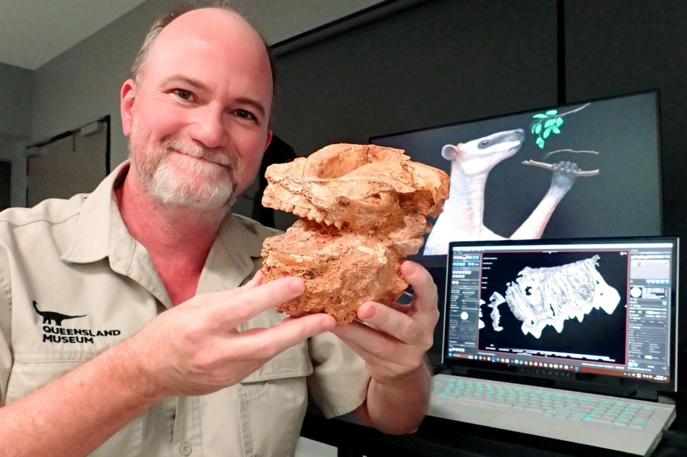 New techniques uncover how climate ‘upheaval' led to the extinction of Australia's giant kangaroos
