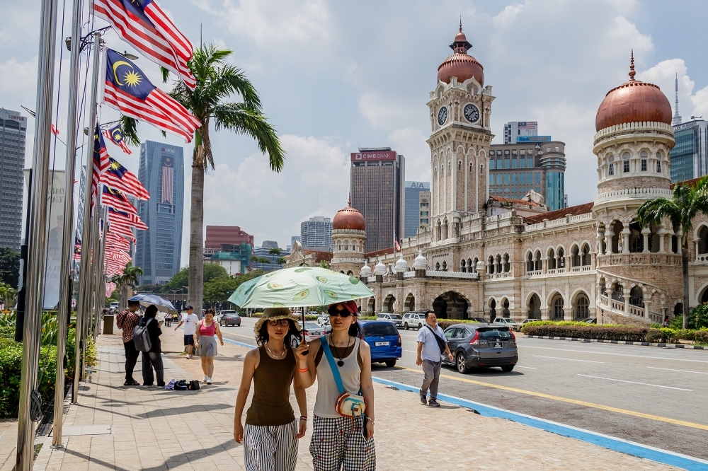 From Angsana to Mempari: Trees that can transform Malaysia's urban landscape