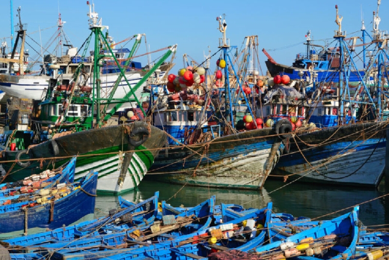 ارتفاع مفرغات الصيد الساحلي والتقليدي بنسبة 180% بميناء طانطان