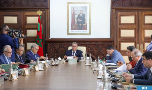 Government Council Approves Creation of National Child Protection Agency