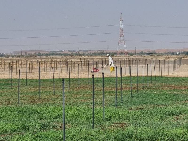 MAFWR unveils 6 agricultural investment opportunities in Buraimi
