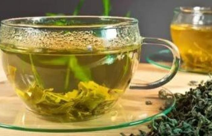 صحة وطب : ماذا يحدث لجسمك عند تناول الشاي الأخضر لمدة أسبوعين؟