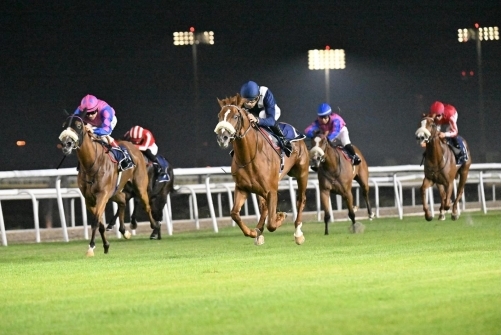 Eid Al Fitr Festival gallops into action at Rashid Equestrian Club