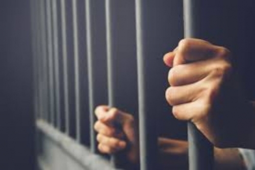 Scammer jailed
