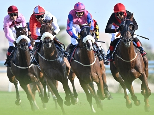 Equestrian enthusiasts await HRH the Crown Prince's Cup