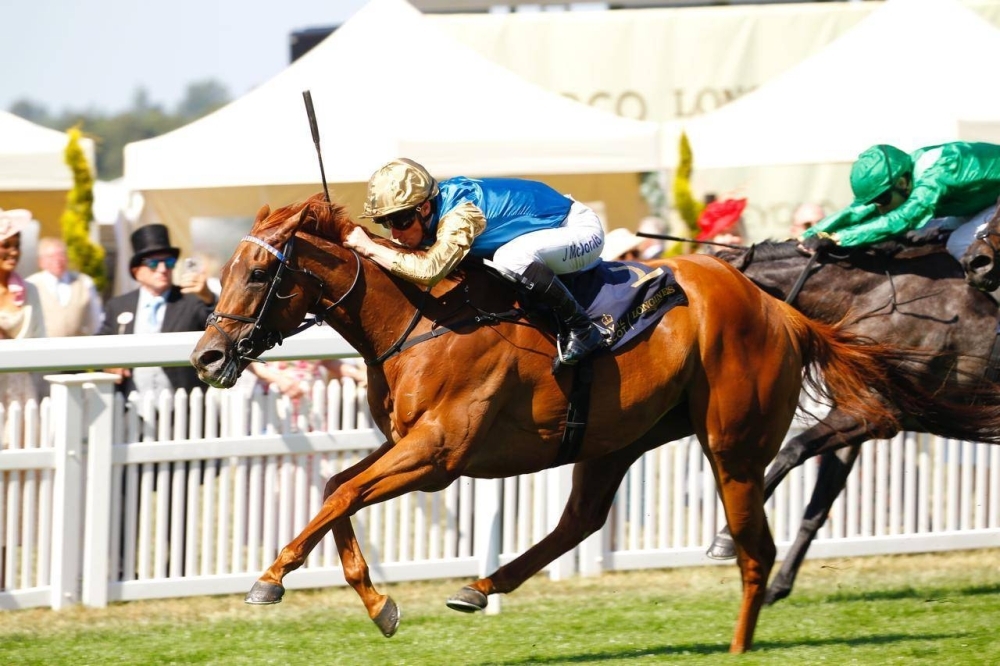 Wathnan Racing's Crimson Advocate strikes again in Duke of Cambridge