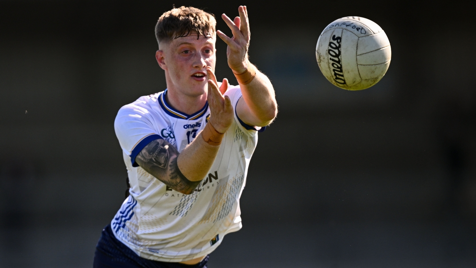 Wicklow prove too strong for Laois in Aughrim