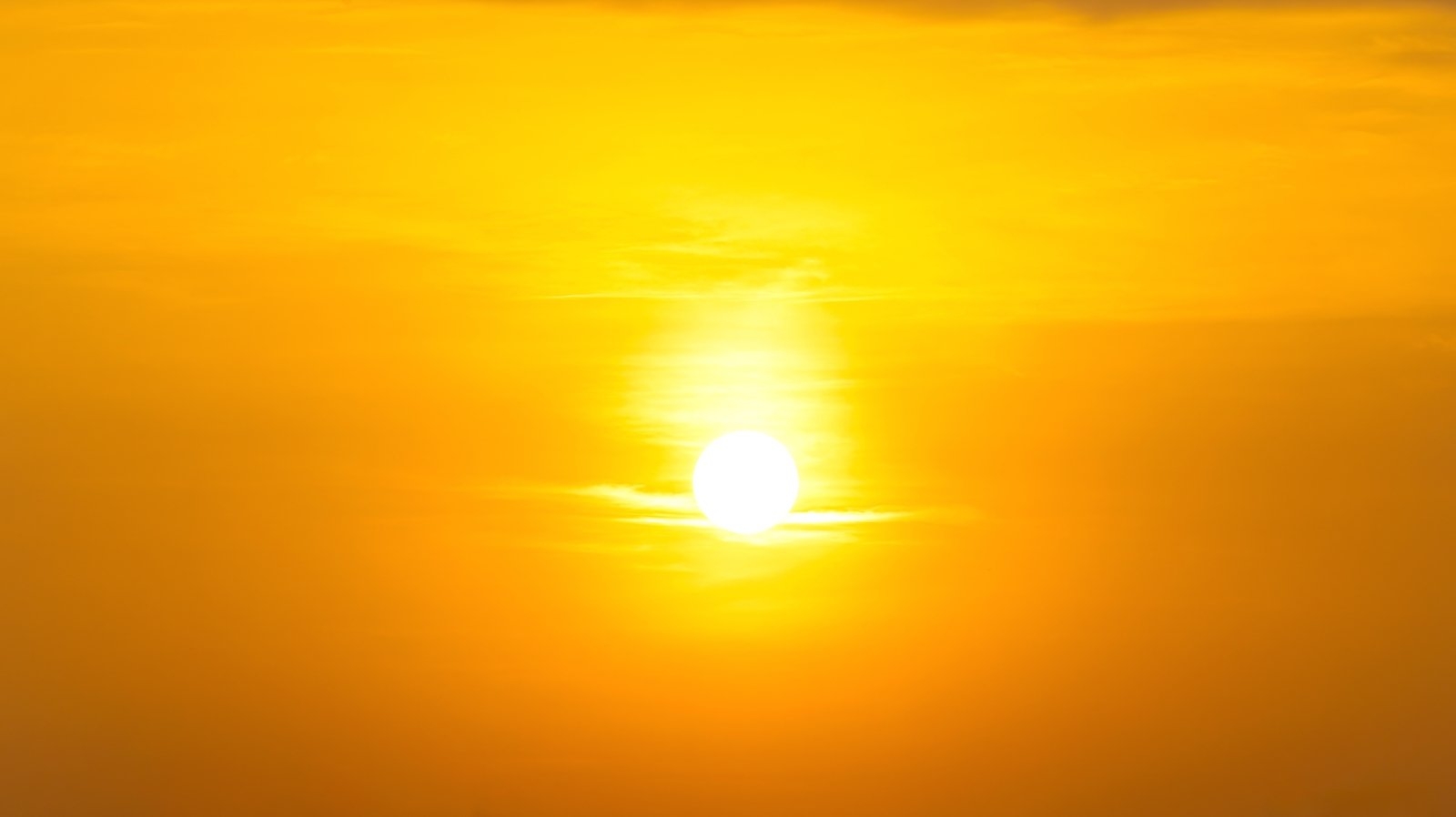 Temperatures in UK set to hit 33C, human-caused climate change blamed