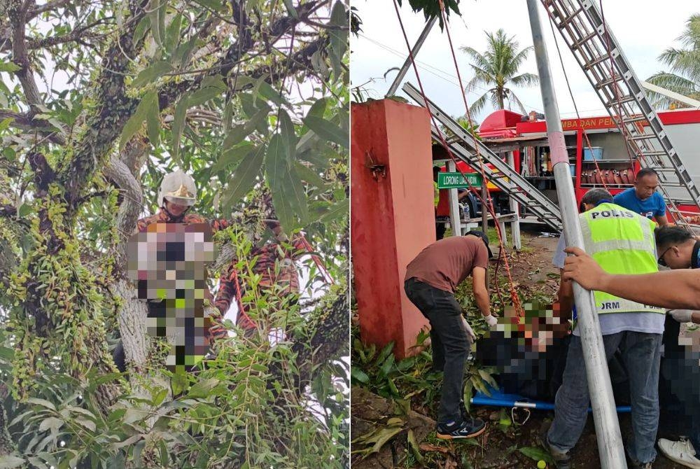 Man electrocuted while plucking mangoes with metal rod