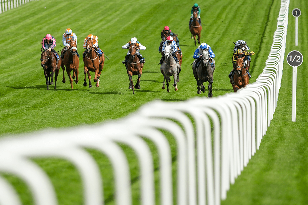 Is an Epsom renaissance on the way?