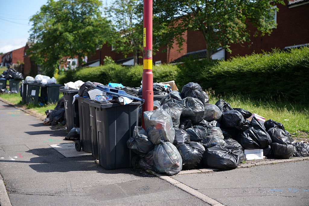 Revealed: Birmingham's pest control costs soar as bin strikes continue