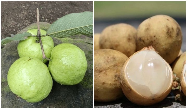 Fruit Tax In The Way Of Your Diet Plan? Here Are Some Local Alternatives