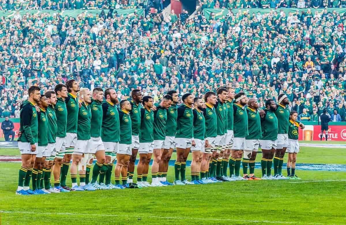 Springboks: Injury update, who's in and who's out