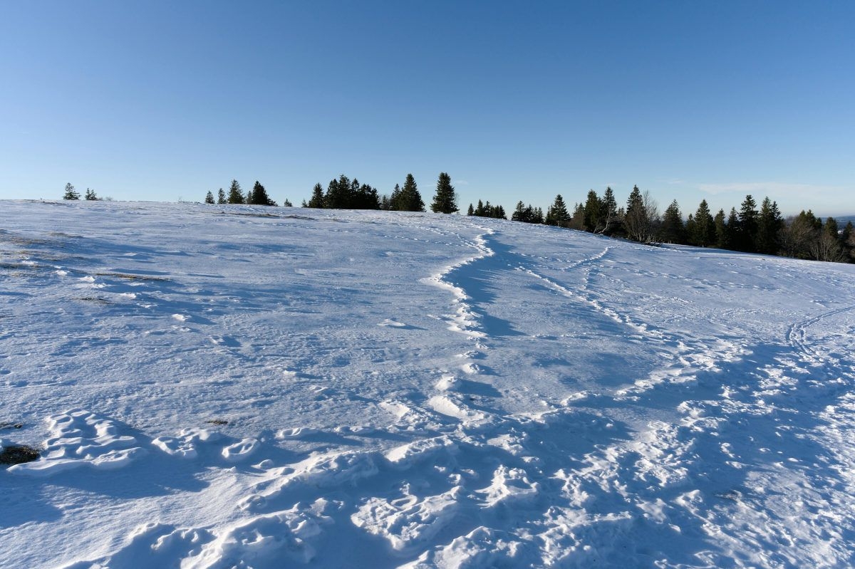 Winter solstice