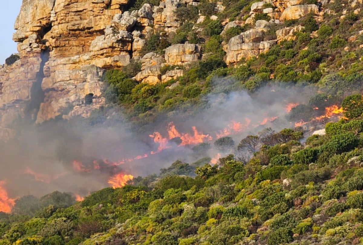 Wildfire breaks out on Boyes Drive