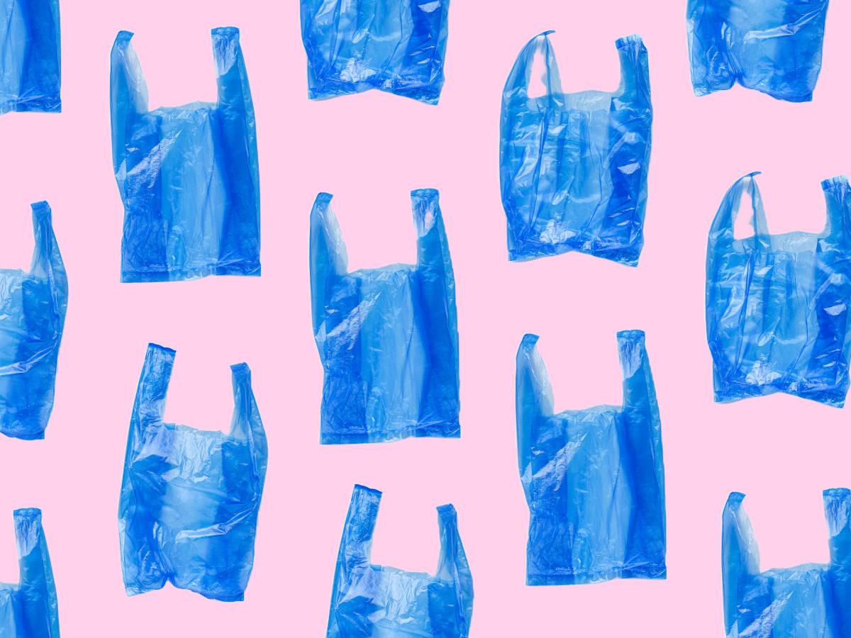UAE to introduce single-use plastic ban in 2026: Your need to know