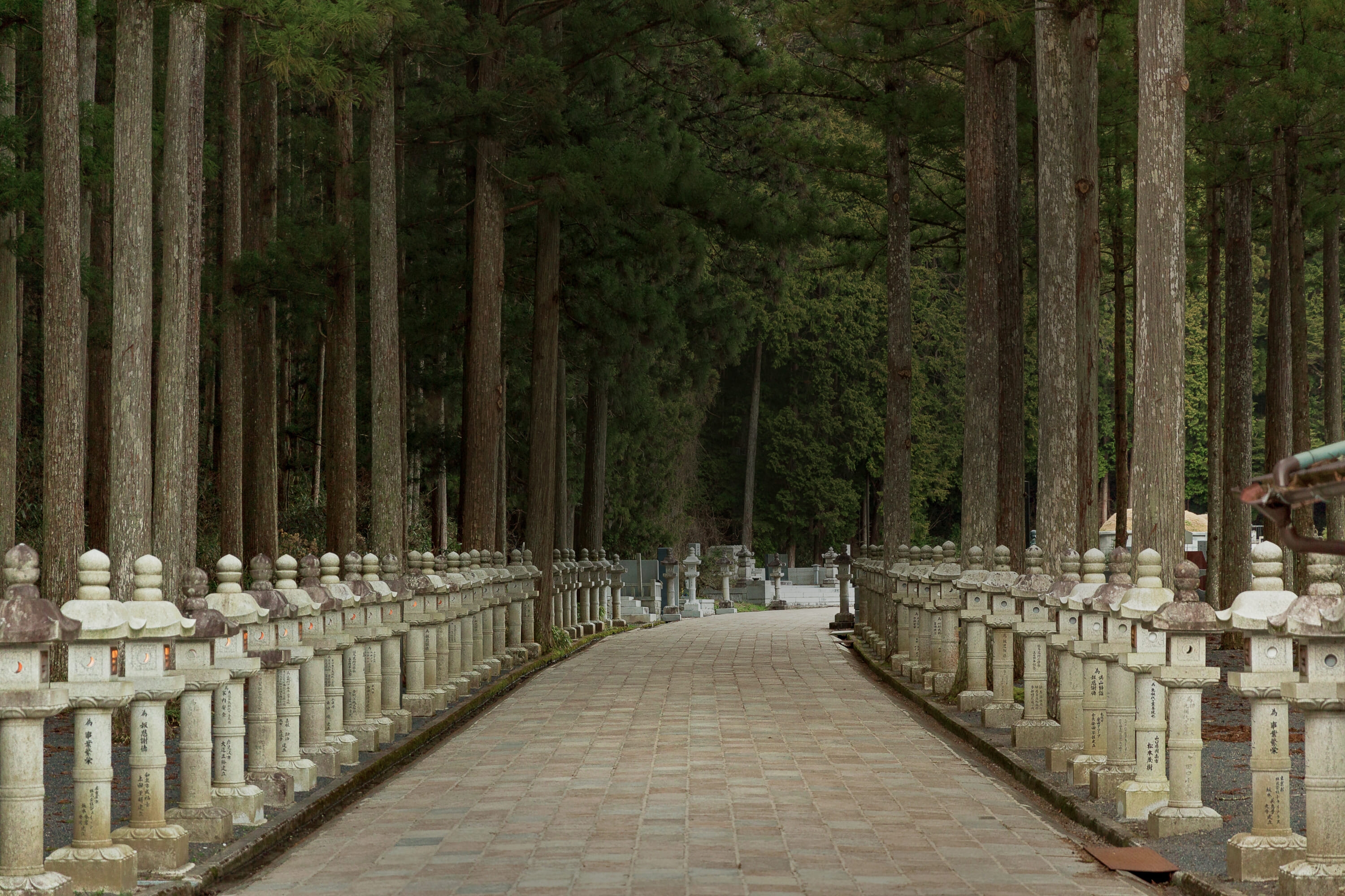 Koyasan Pilgrimage: Exploring Japan's Holiest Buddhist Sanctuary