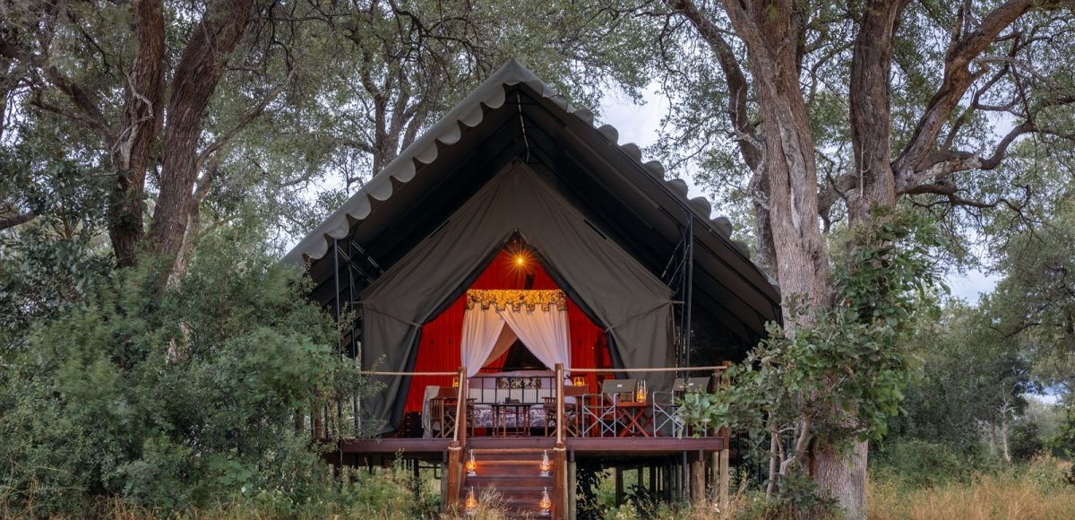 Natural Selection introduces Mbamba in Northern Botswana