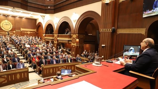 مستقبل وطن يثير المزاح أثناء جلسة مجلس الشيوخ