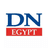 Egypt jumps to 9th in global FDI rankings as Africa sees rebound